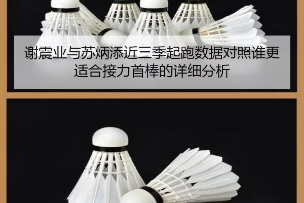 谢震业与苏炳添近三季起跑数据对照谁更适合接力首棒的详细分析