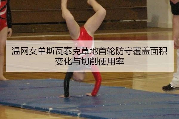 wen-wang-nv-dan-si-wa-tai-ke-cao-di-shou-lun-fang-shou-fu-gai-mian-ji-bian-hua-yu-qie-xiao-shi-yong-lv-2-915.jpg