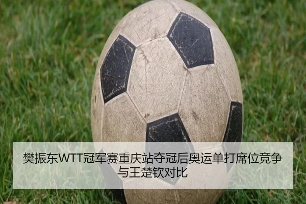 樊振东WTT冠军赛重庆站夺冠后奥运单打席位竞争与王楚钦对比
