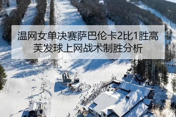 wen-wang-nv-dan-jue-sai-sa-ba-lun-ka-bi-sheng-gao-fu-fa-qiu-shang-wang-zhan-shu-zhi-sheng-fen-xi-3-744.jpg